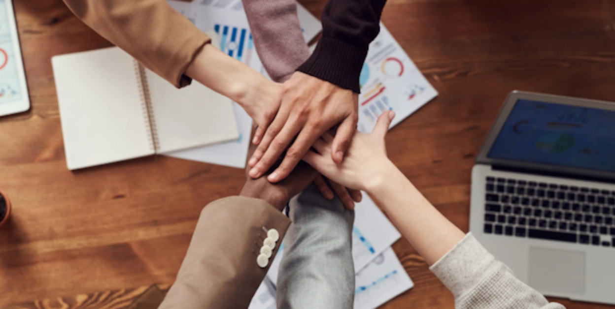 Custom Web Design and Development | LCMS Digital Solutions